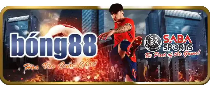 Bảo mật go8 vin